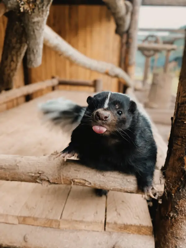 Ranč Zoo – fotka 4 z 157