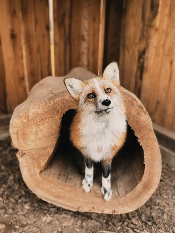 Ranč Zoo – fotka 5 z 157