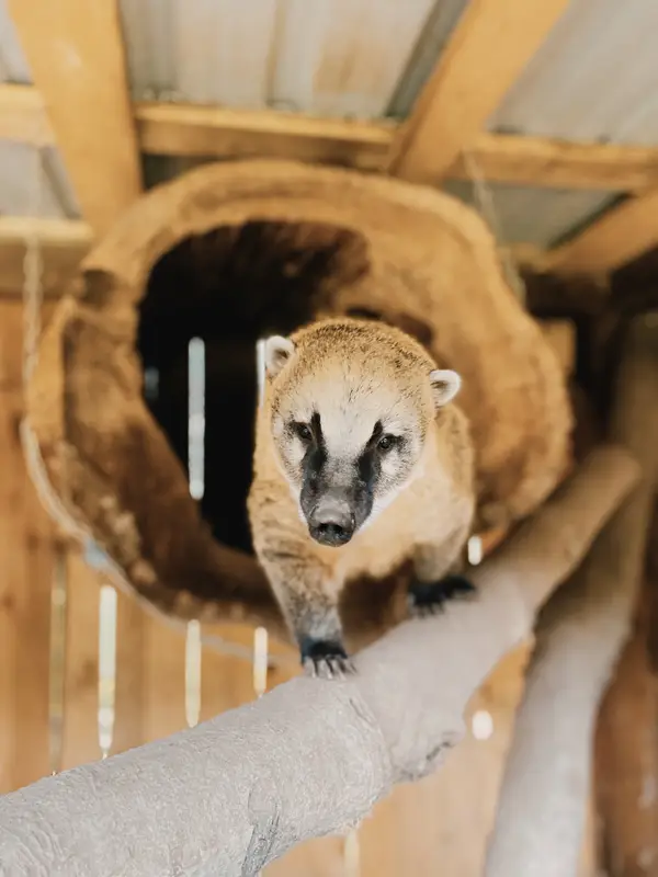 Ranč Zoo – fotka 6 z 157