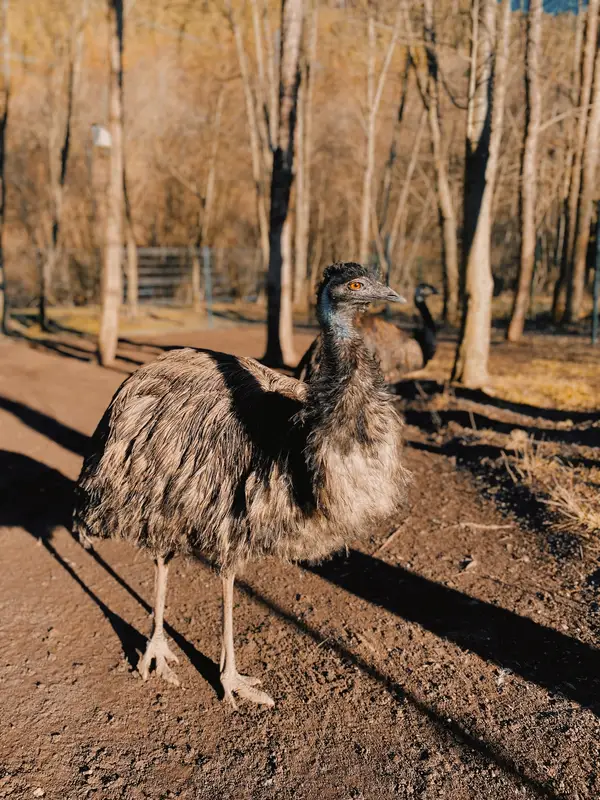 Ranč Zoo – fotka 7 z 157