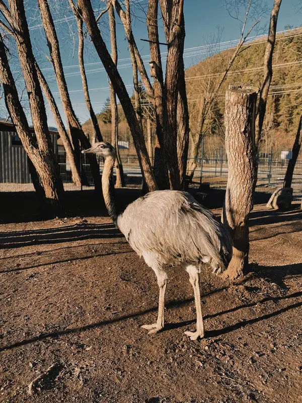 Ranč Zoo – fotka 8 z 157