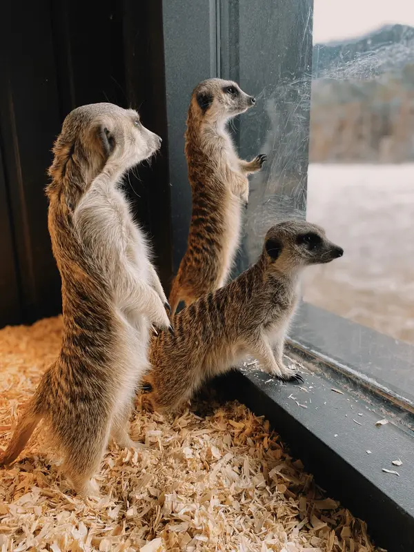 Ranč Zoo – fotka 9 z 157