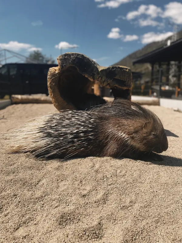Ranč Zoo – fotka 10 z 157