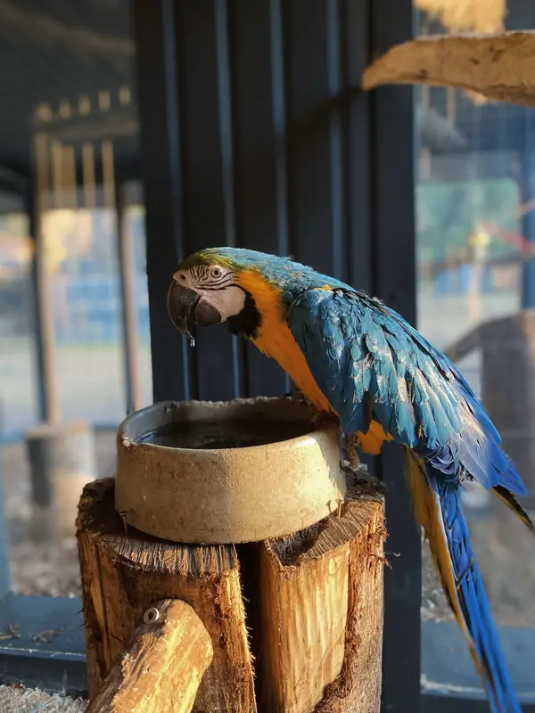 Ranč Zoo – fotka 11 z 157
