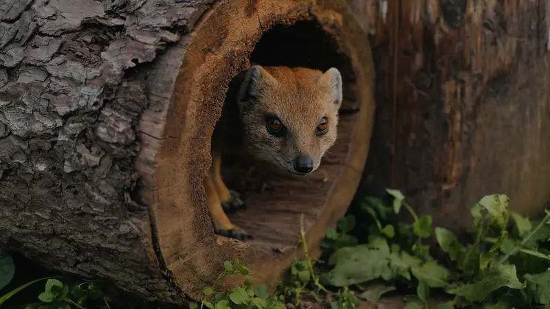 Ranč Zoo – fotka 12 z 157