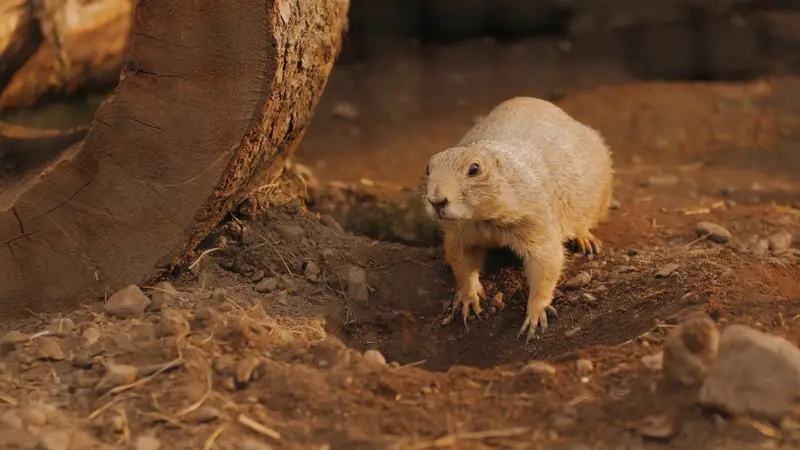 Ranč Zoo – fotka 14 z 157