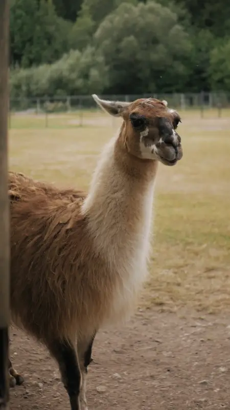 Ranč Zoo – fotka 16 z 157