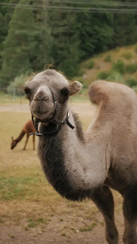 Ranč Zoo – fotka 17 z 157