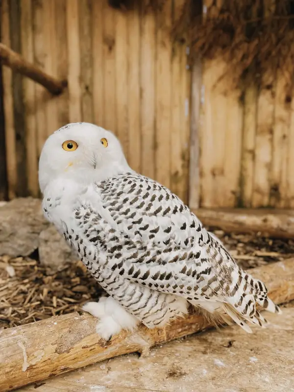 Ranč Zoo – fotka 19 z 157