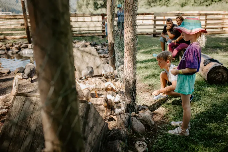 Ranč Zoo – fotka 20 z 157