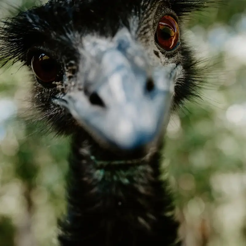 Ranč Zoo – fotka 21 z 157