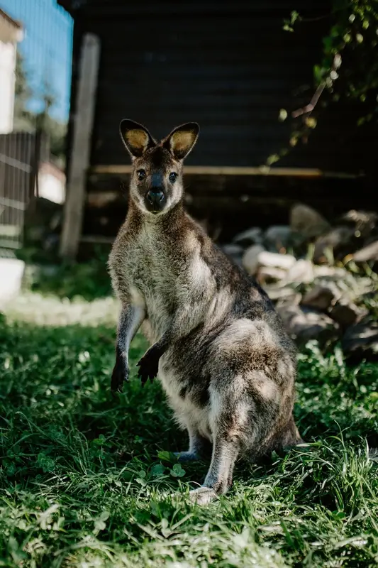 Ranč Zoo – fotka 23 z 157