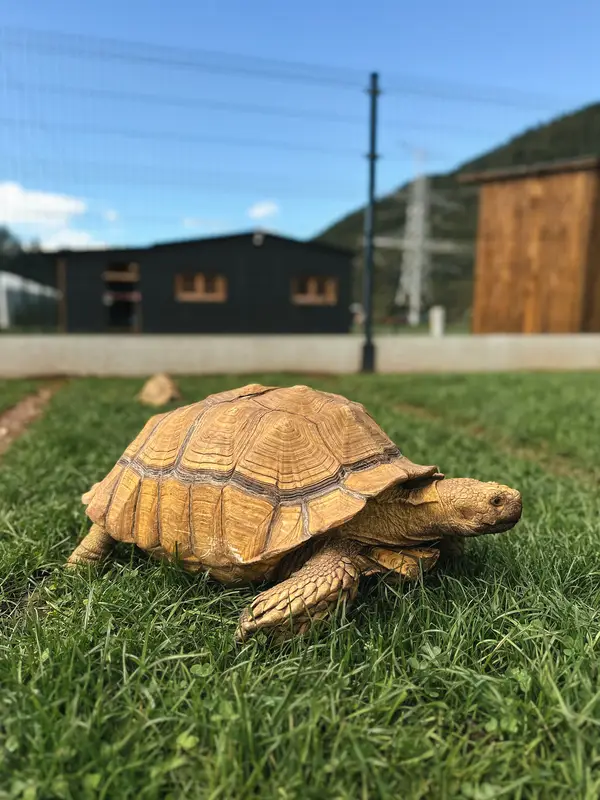 Ranč Zoo – fotka 26 z 157