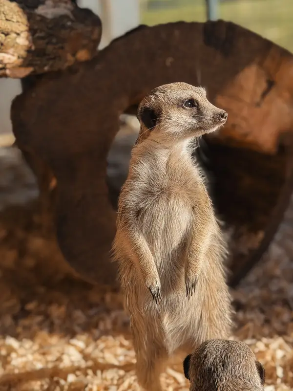 Ranč Zoo – fotka 27 z 157