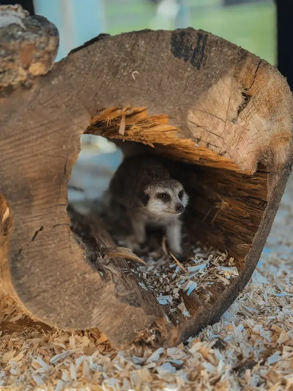 Ranč Zoo – fotka 28 z 157