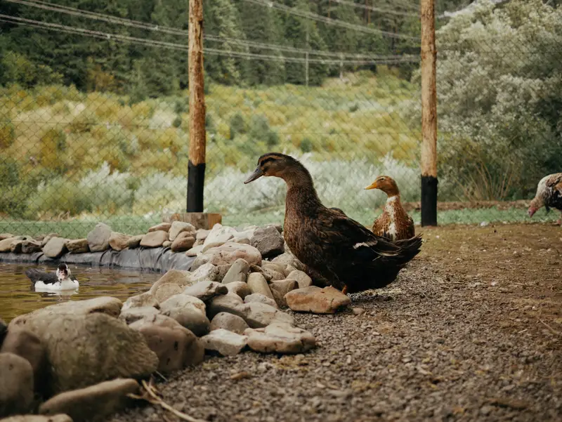 Ranč Zoo – fotka 32 z 157