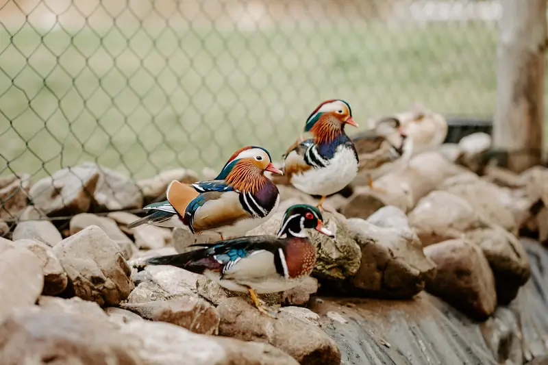 Ranč Zoo – fotka 34 z 157
