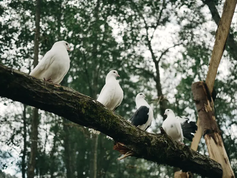 Ranč Zoo – fotka 35 z 157