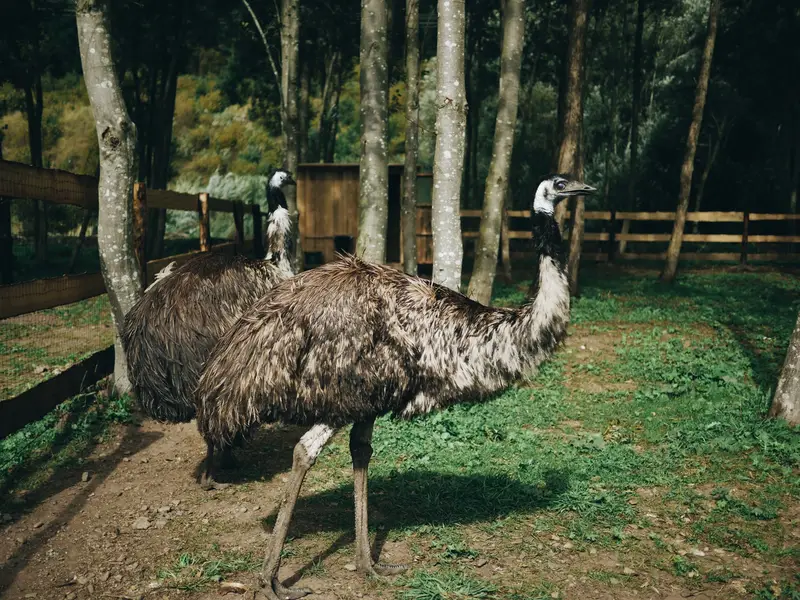 Ranč Zoo – fotka 37 z 157