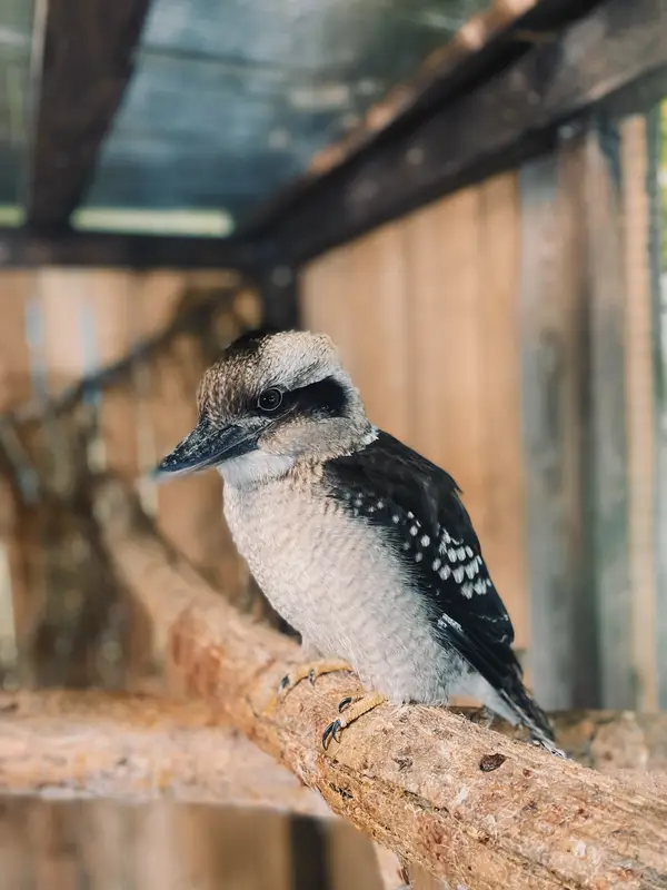 Ranč Zoo – fotka 39 z 157