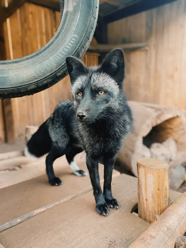 Ranč Zoo – fotka 40 z 157