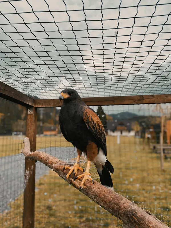 Ranč Zoo – fotka 41 z 157