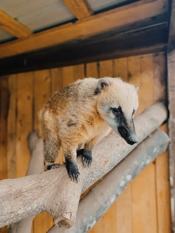 Ranč Zoo – fotka 42 z 157