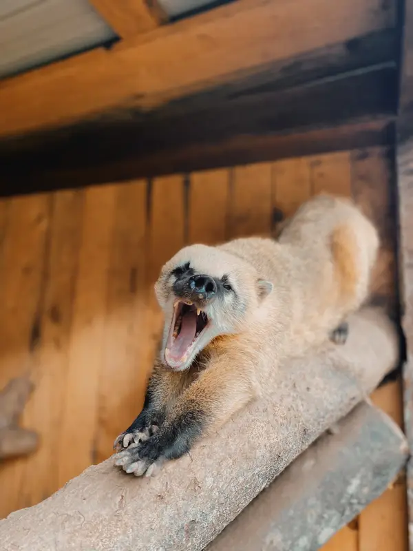 Ranč Zoo – fotka 43 z 157