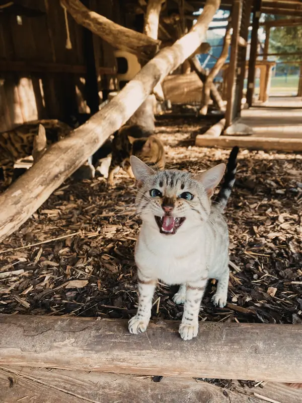 Ranč Zoo – fotka 44 z 157