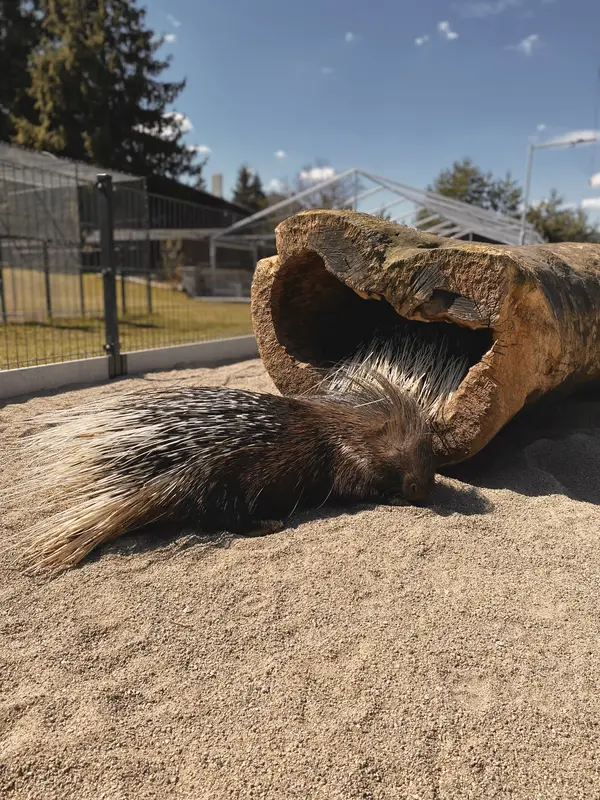 Ranč Zoo – fotka 47 z 157