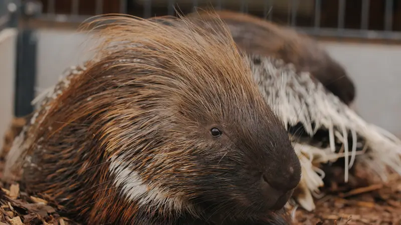 Ranč Zoo – fotka 51 z 157
