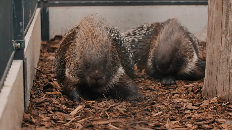 Ranč Zoo – fotka 55 z 157