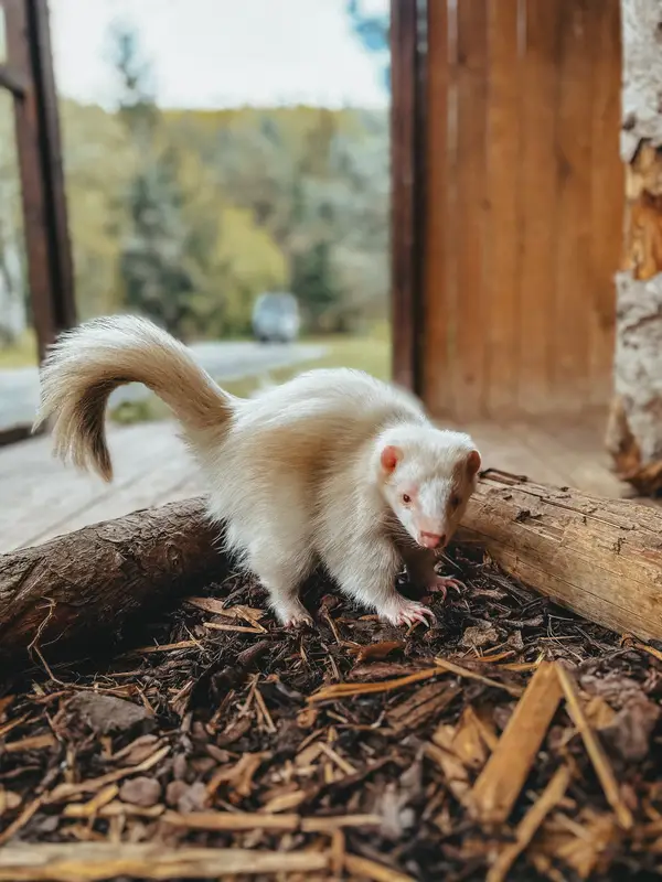 Ranč Zoo – fotka 58 z 157