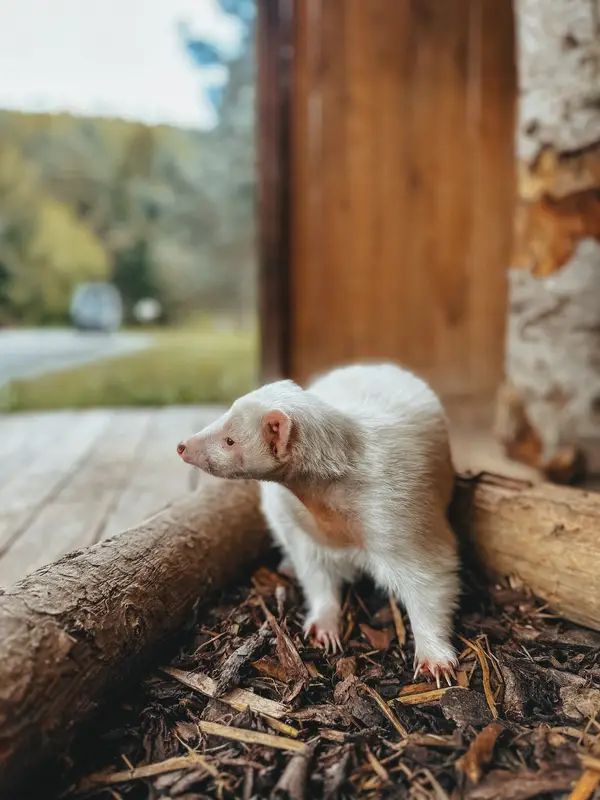 Ranč Zoo – fotka 59 z 157
