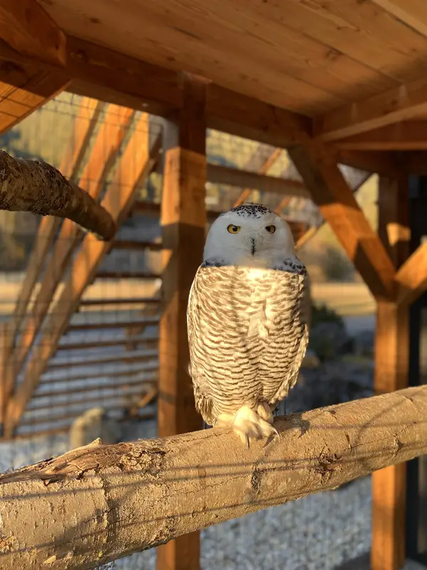 Ranč Zoo – fotka 60 z 157
