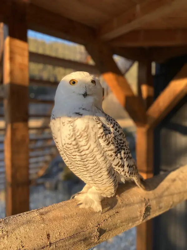 Ranč Zoo – fotka 61 z 157