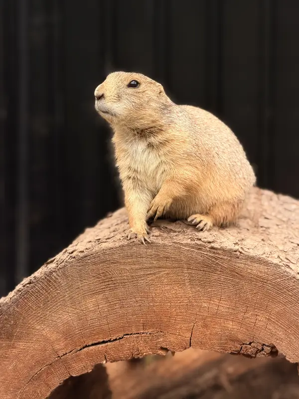 Ranč Zoo – fotka 62 z 157