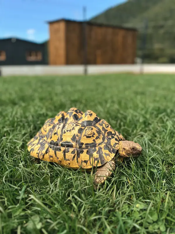 Ranč Zoo – fotka 65 z 157