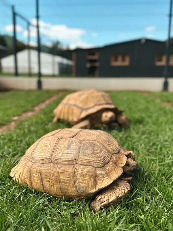 Ranč Zoo – fotka 66 z 157