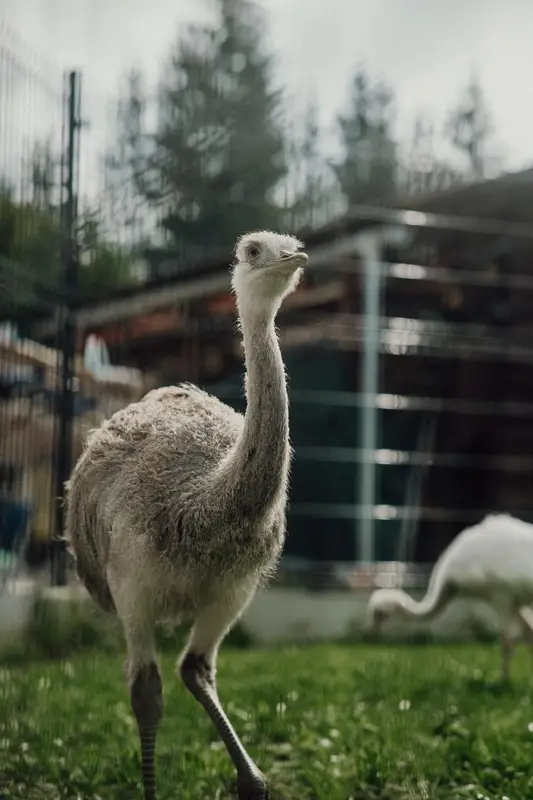 Ranč Zoo – fotka 67 z 157