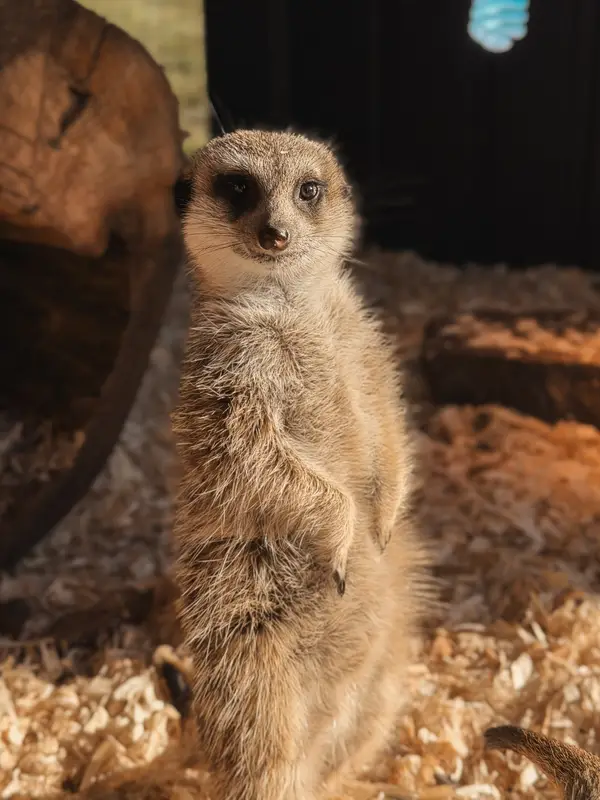 Ranč Zoo – fotka 68 z 157