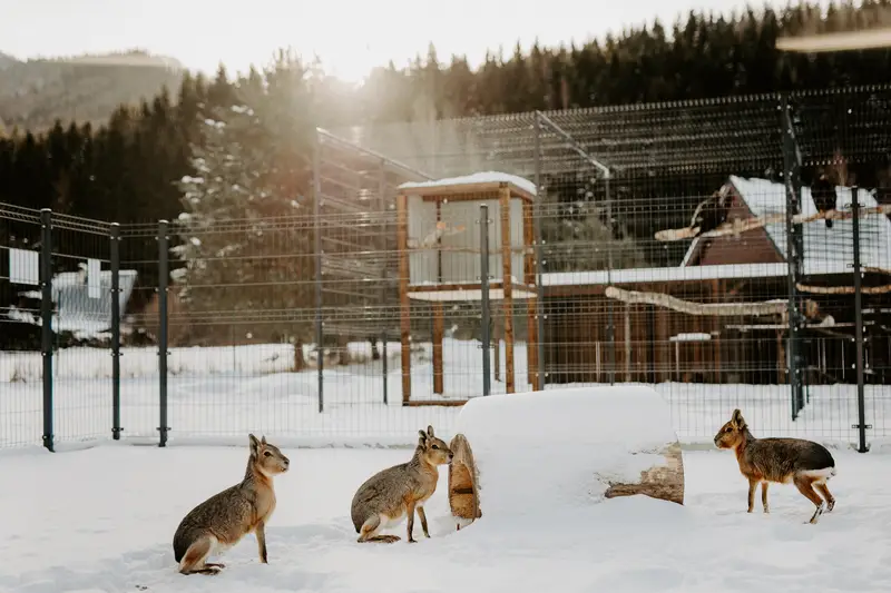 Ranč Zoo – fotka 73 z 157