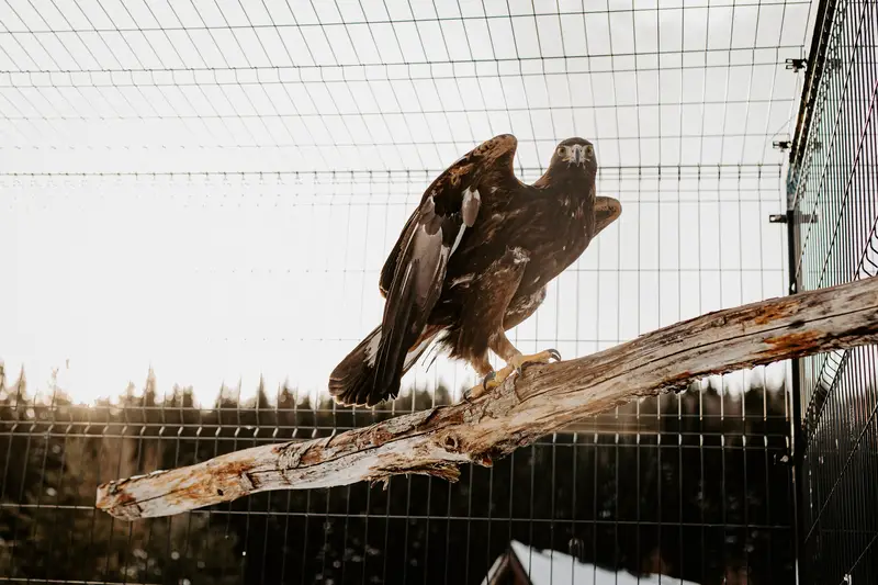 Ranč Zoo – fotka 74 z 157