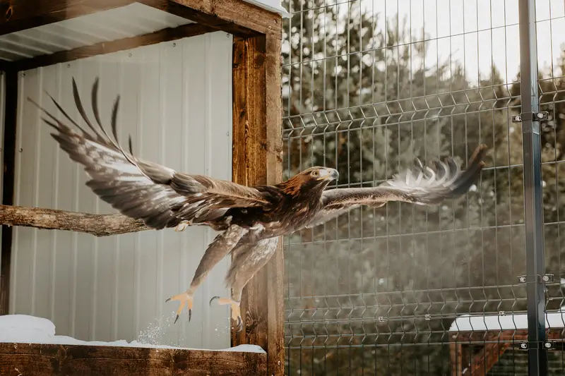 Ranč Zoo – fotka 75 z 157