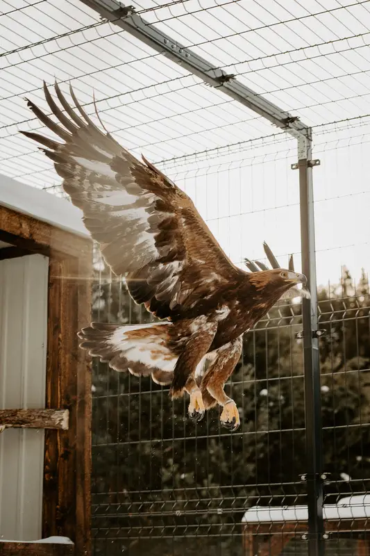 Ranč Zoo – fotka 76 z 157