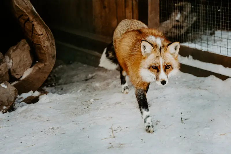 Ranč Zoo – fotka 78 z 157