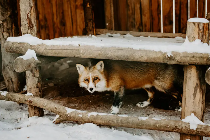 Ranč Zoo – fotka 79 z 157