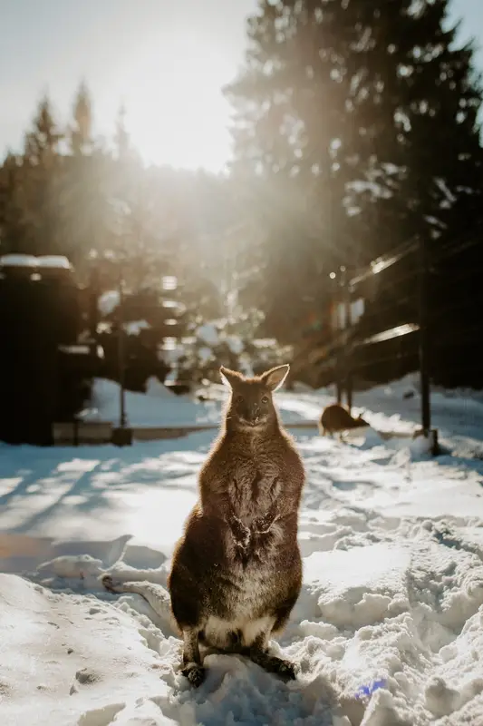 Ranč Zoo – fotka 86 z 157