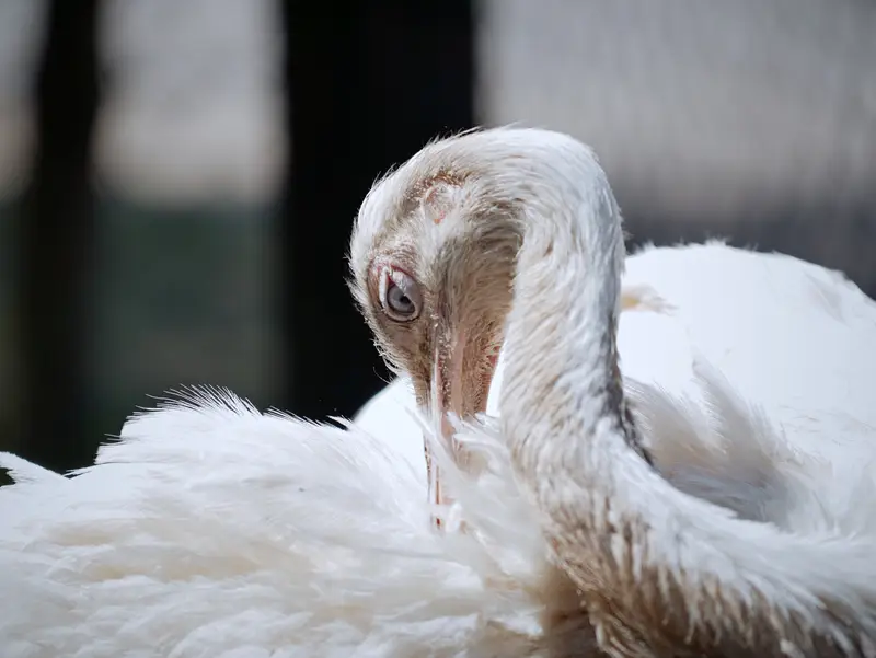 Ranč Zoo – fotka 88 z 157