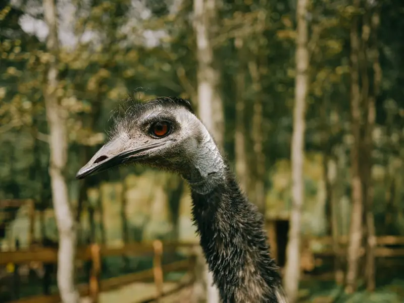 Ranč Zoo – fotka 90 z 157